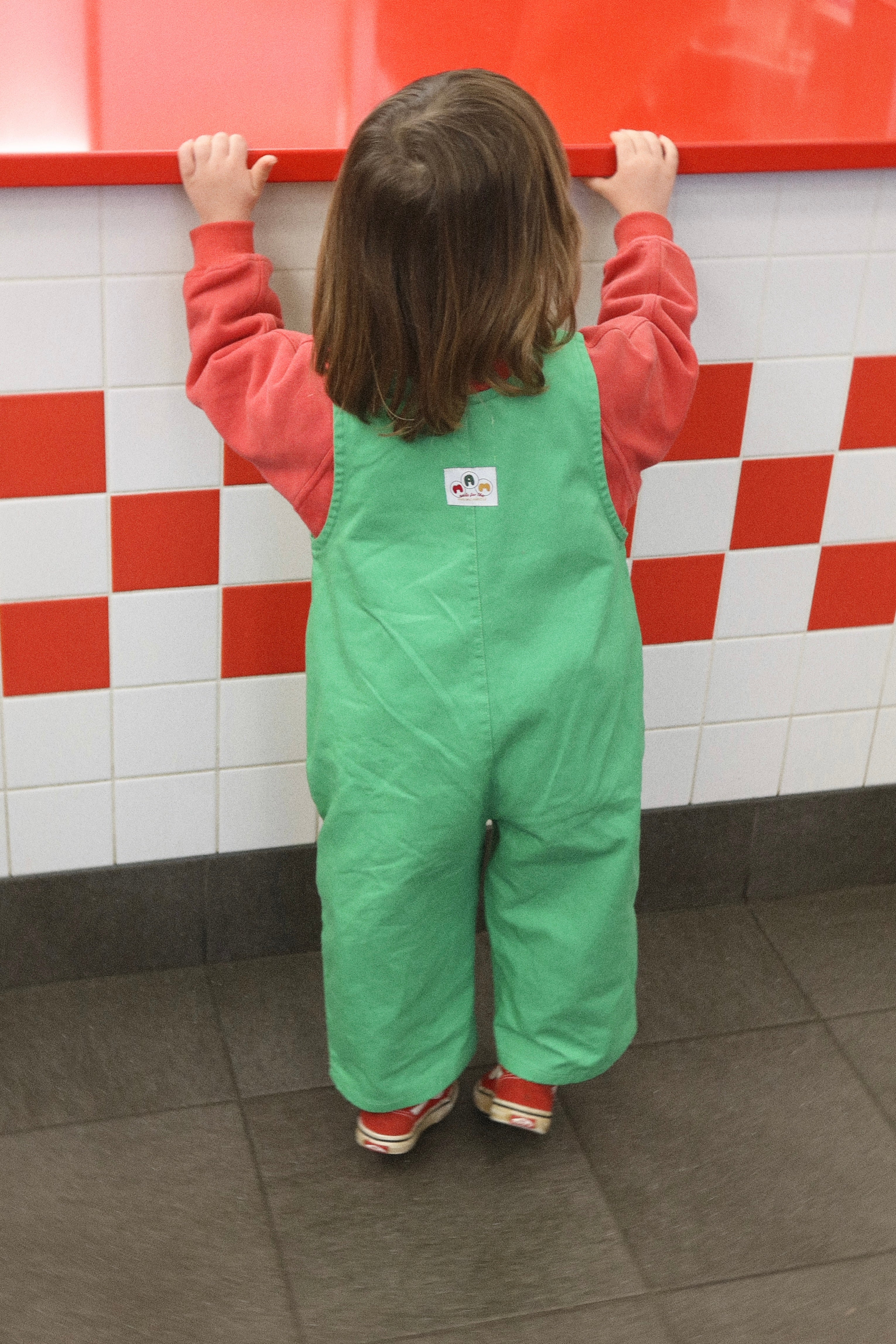 The Art Overalls | Frog