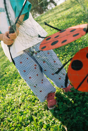 The Ladybug Pants