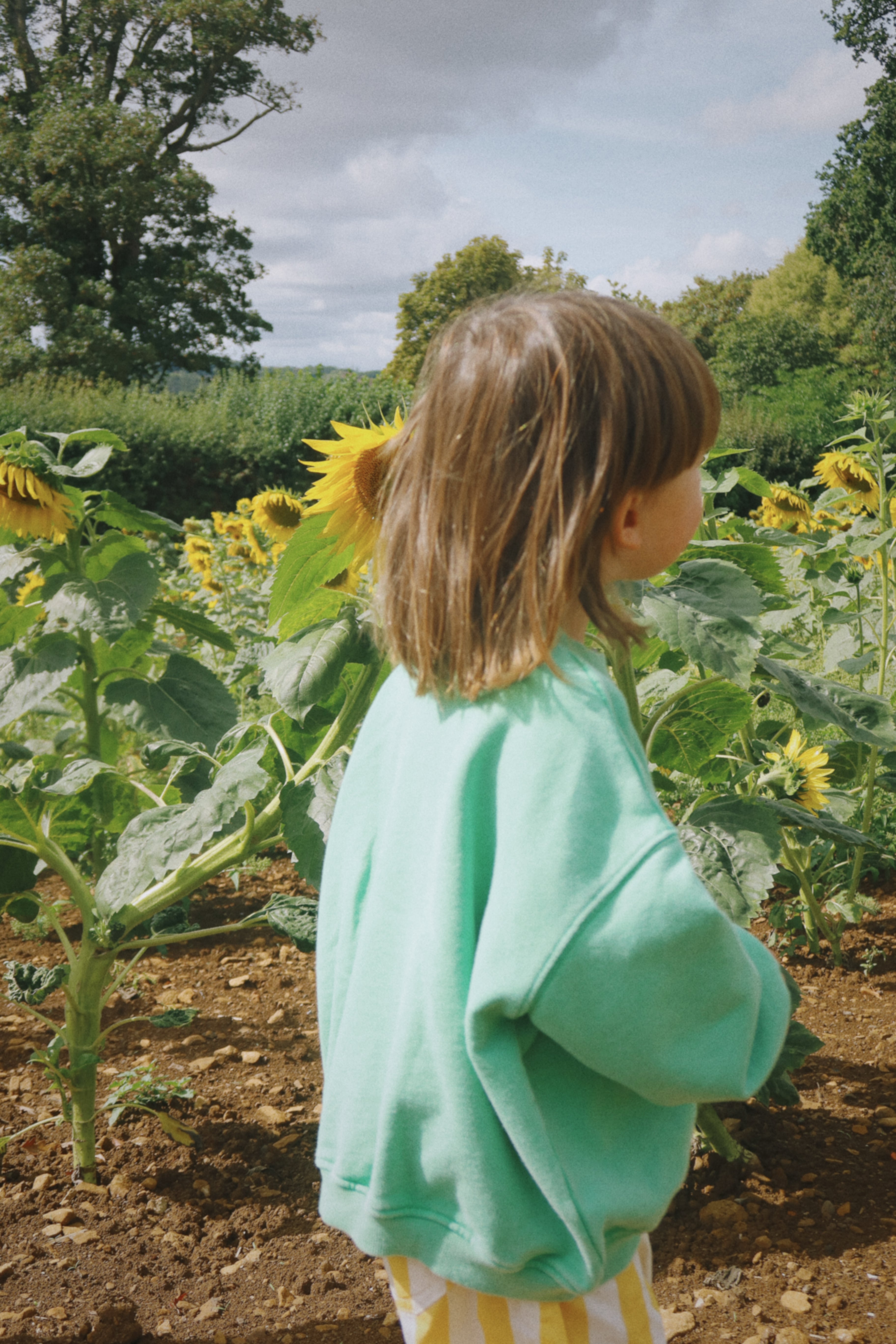 The Mani Pullover | Mam Motors
