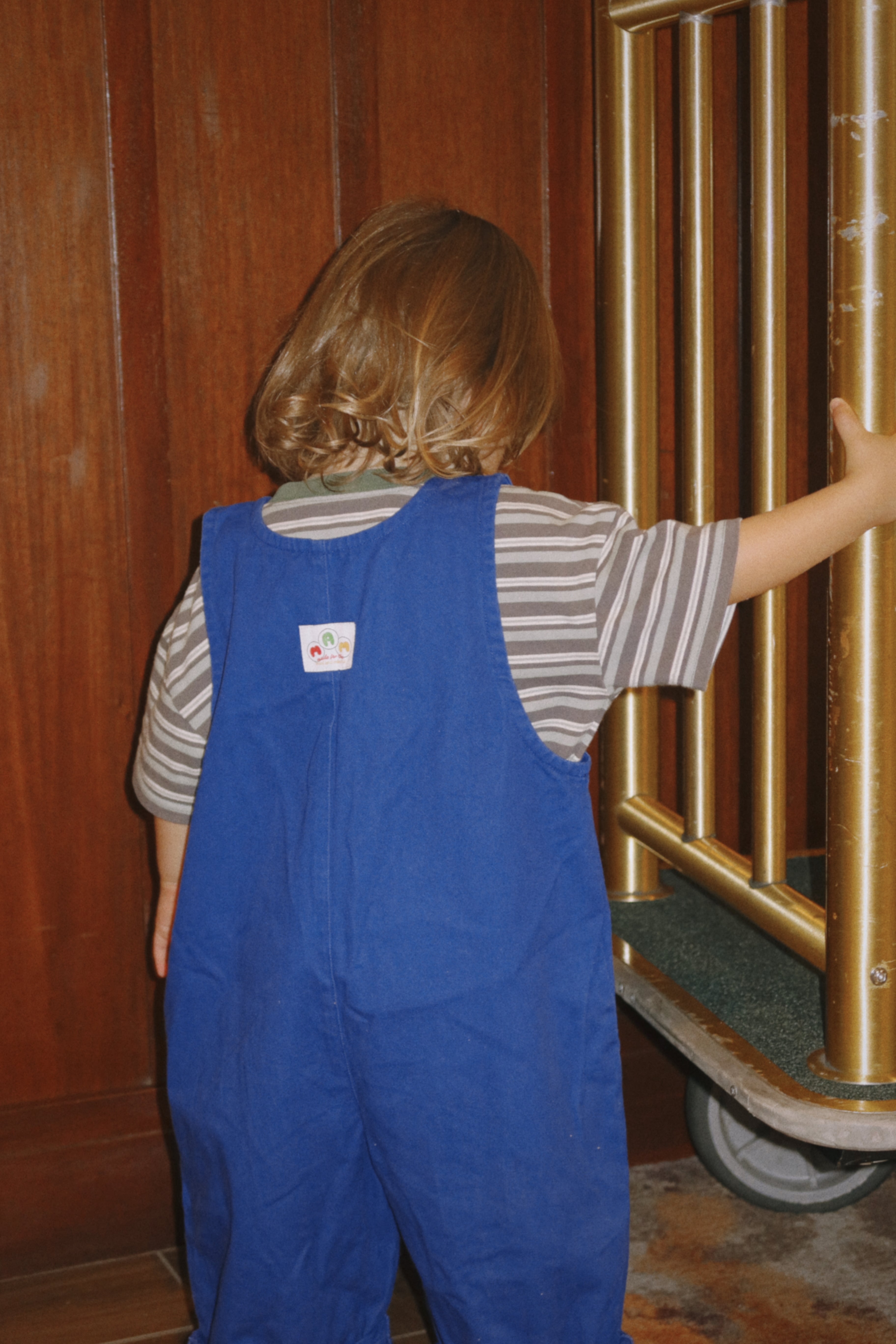 The Art Overalls