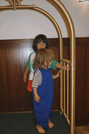 The Art Overalls