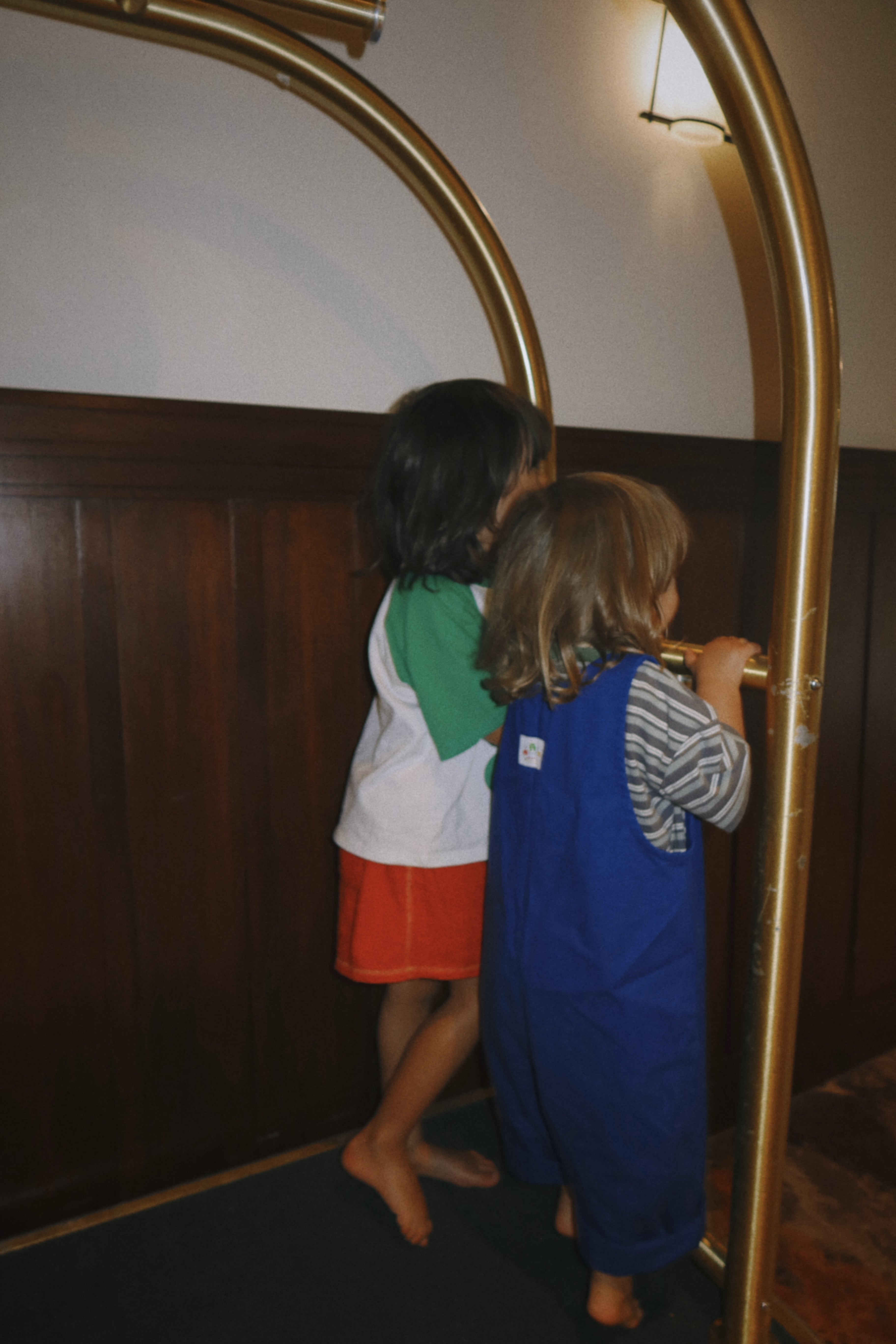 The Art Overalls