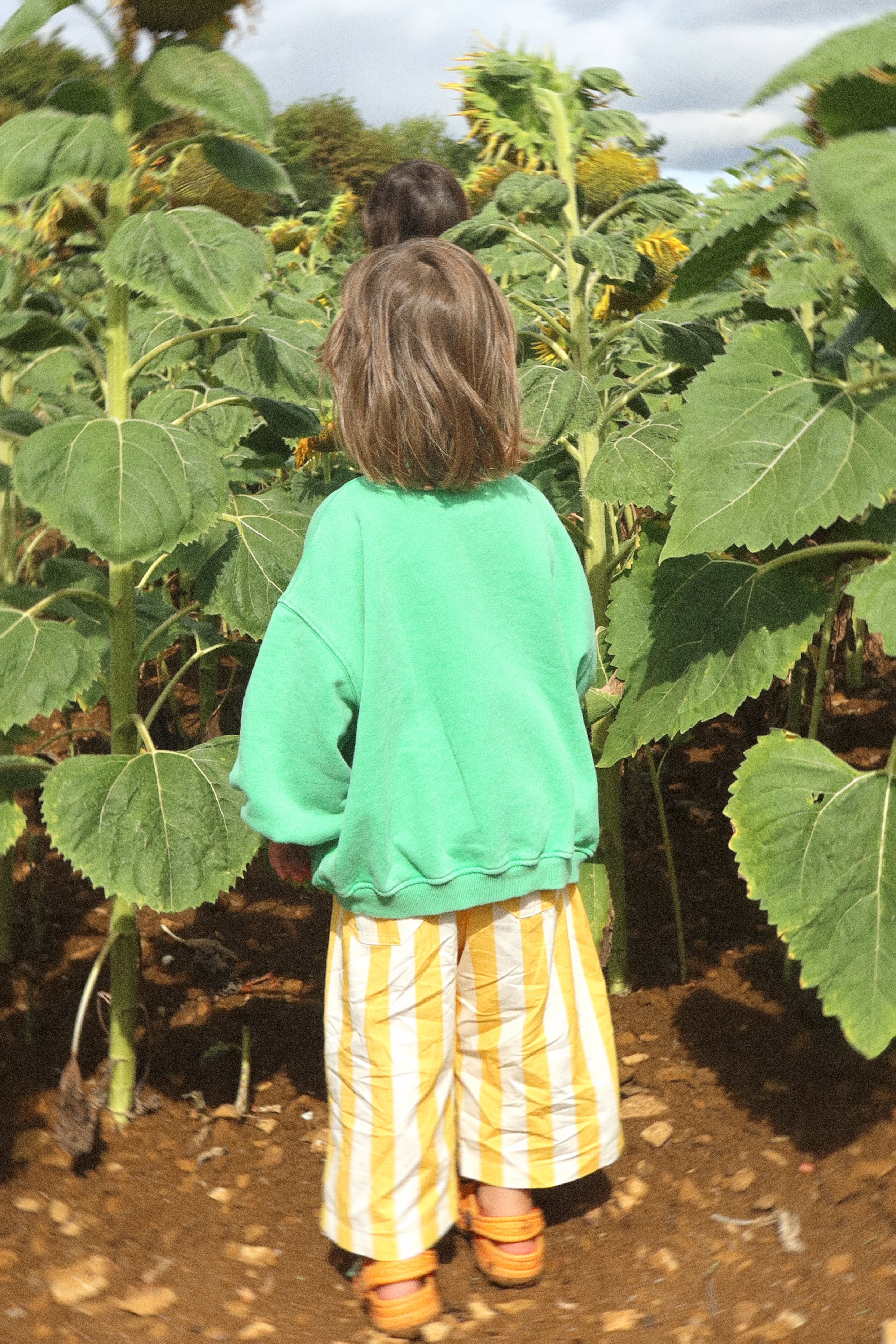 The Humbug Pants
