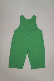 The Art Overalls | Frog