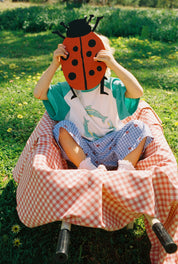 The Ladybug Pants