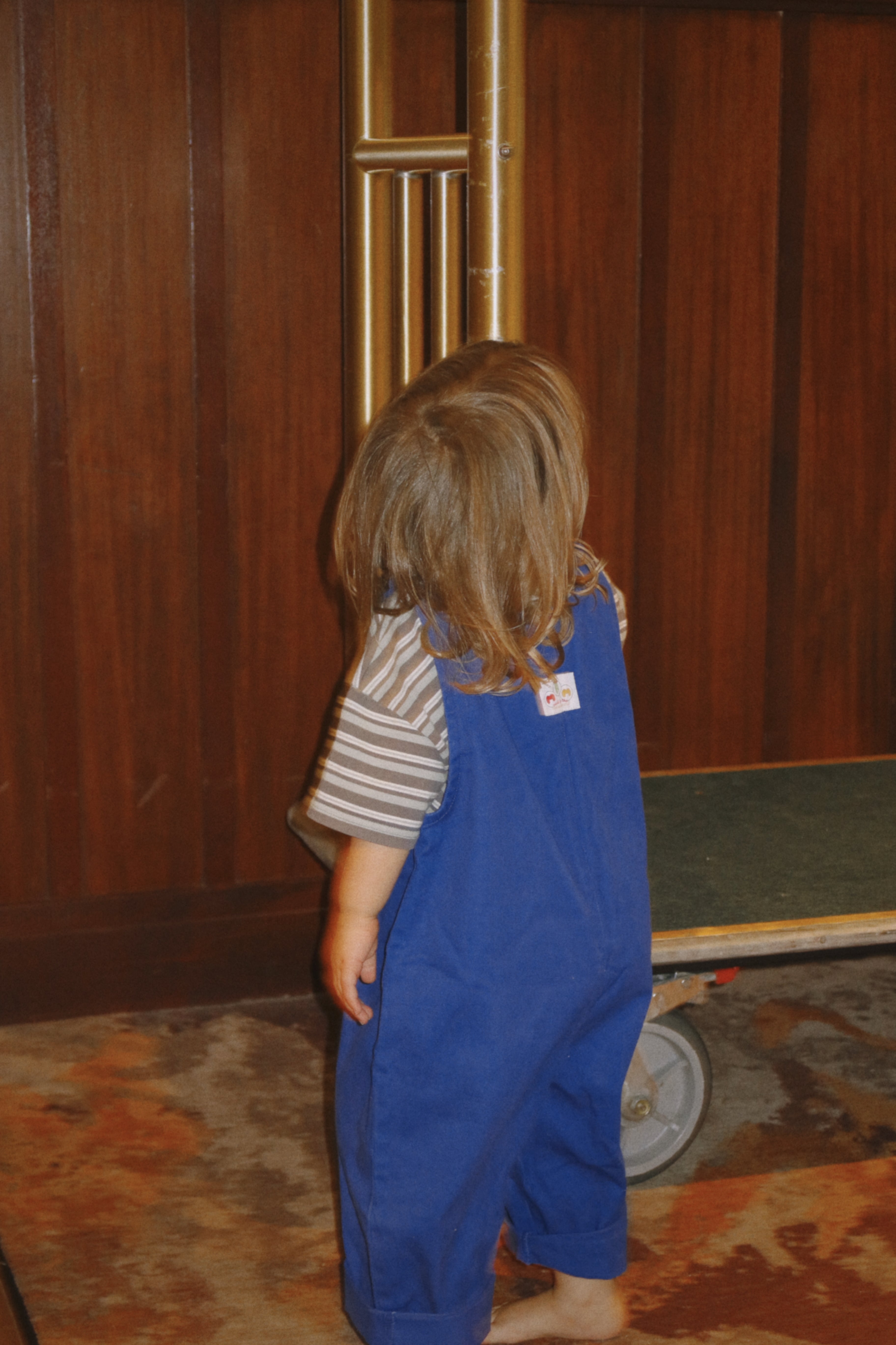 The Art Overalls