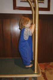 The Art Overalls