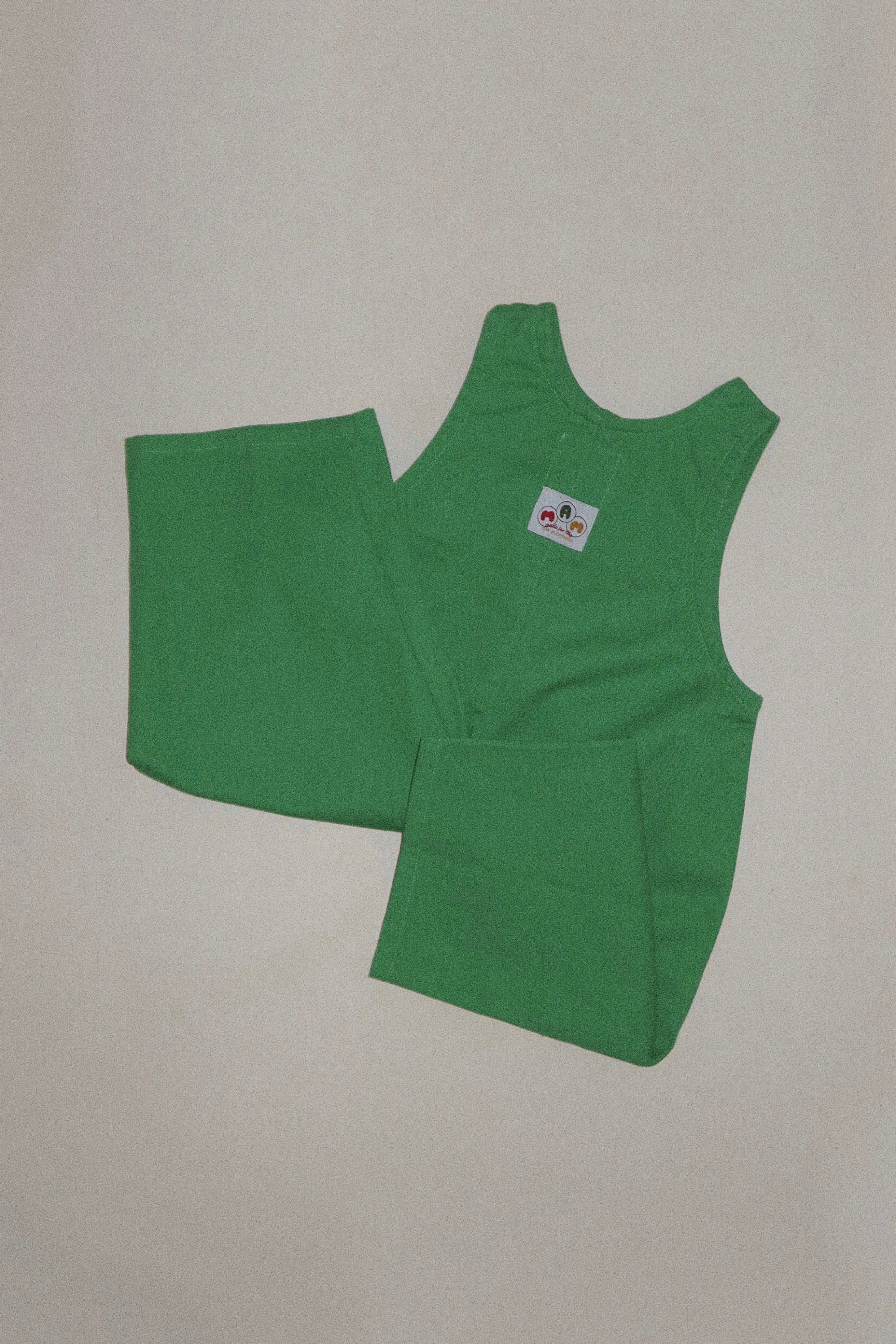 The Art Overalls | Frog